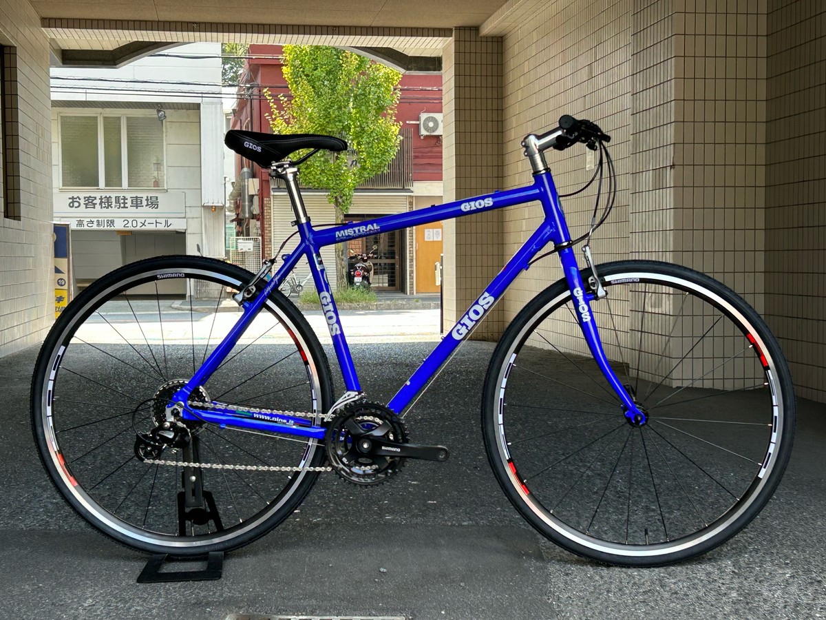 GIOS 【特価】MISTRAL